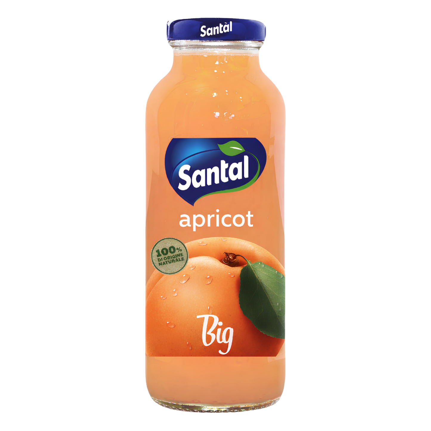 SANTAL 250ML | Apricot Juice | Glass Bottle