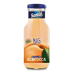 APRICOT 250 ML | Glass Bottle