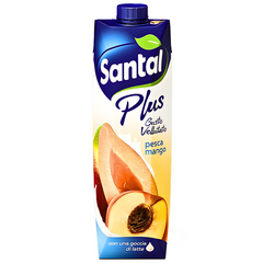 PEACH MANGO  1000 ML | TETRA PAK