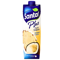 PINEAPPLE COCONUT 1000 ML | TETRA PAK