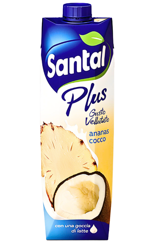 PINEAPPLE COCONUT 1000 ML | TETRA PAK